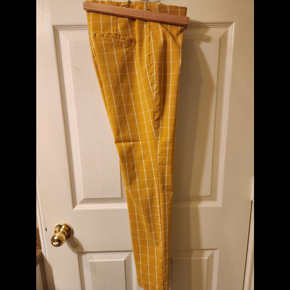 ANew Day Ankle Pants